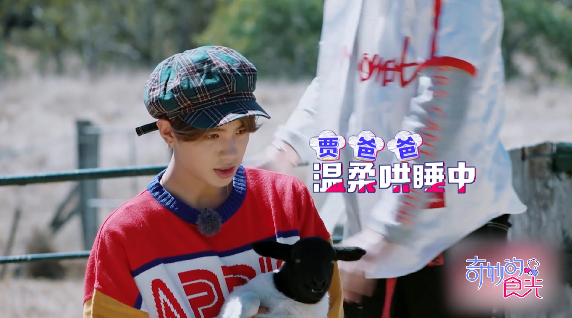 海草舞mv女主角芩雨桥