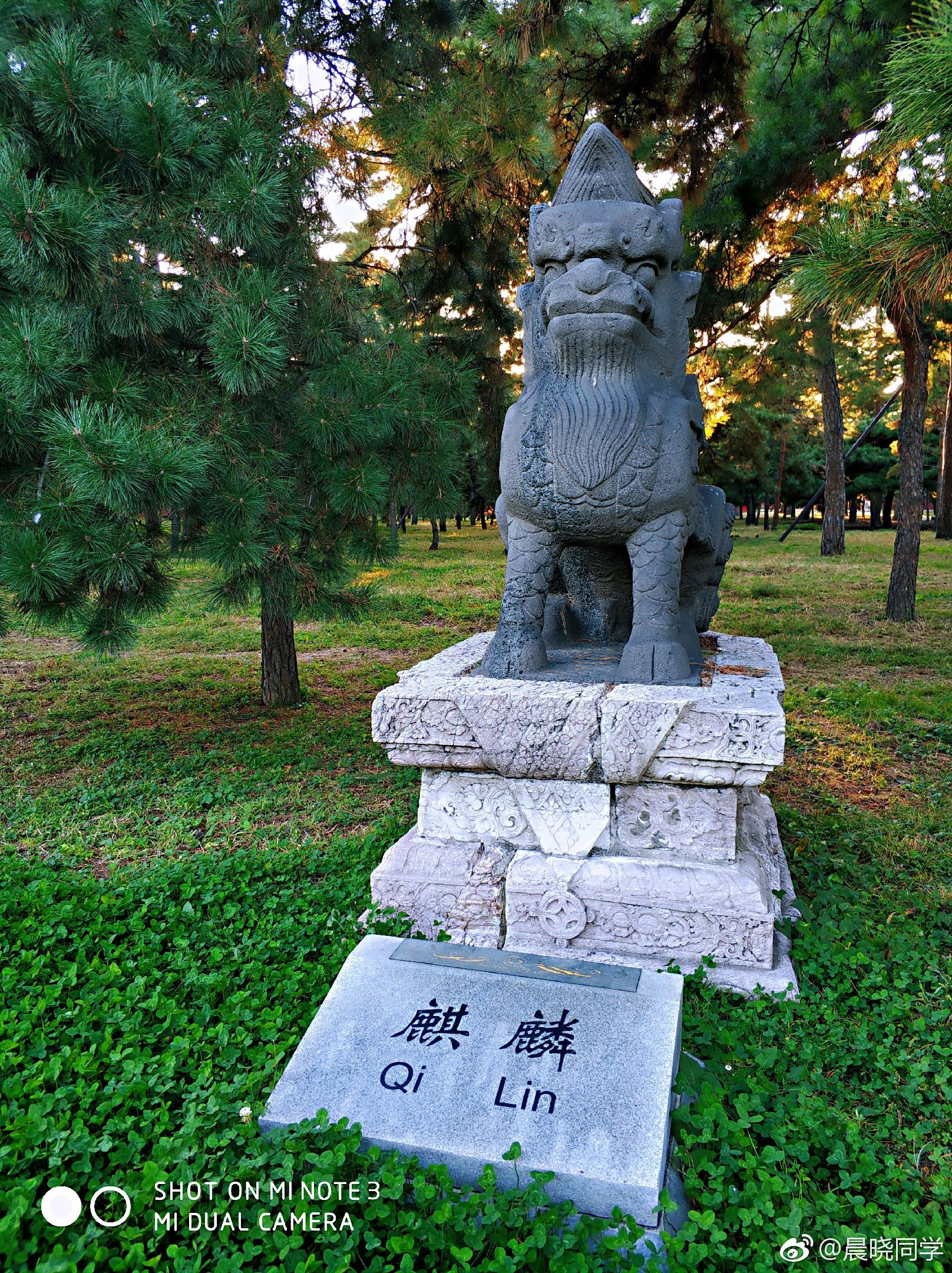 清昭陵神道两旁的石像生,看起来萌萌哒.