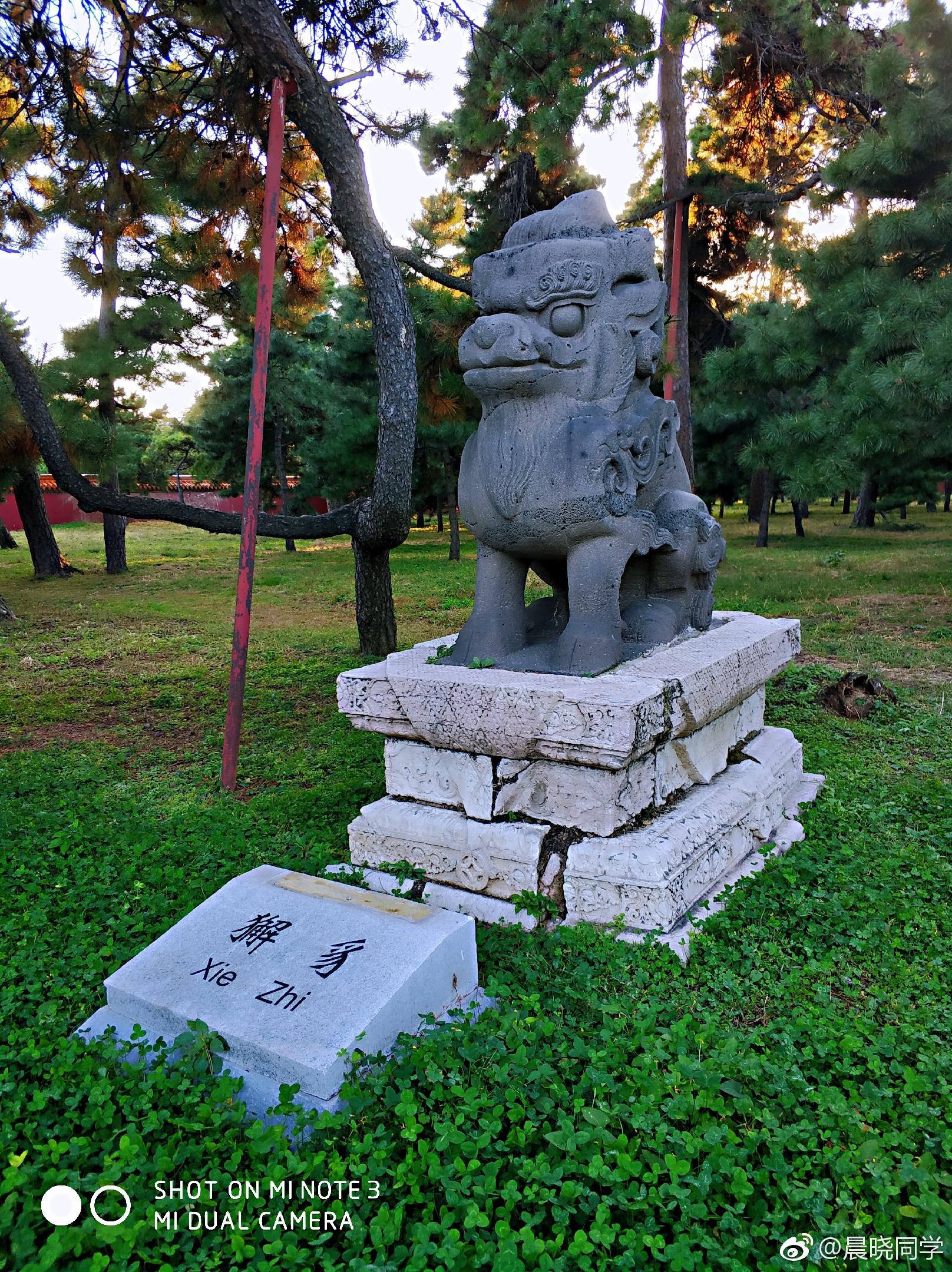 清昭陵神道两旁的石像生,看起来萌萌哒.