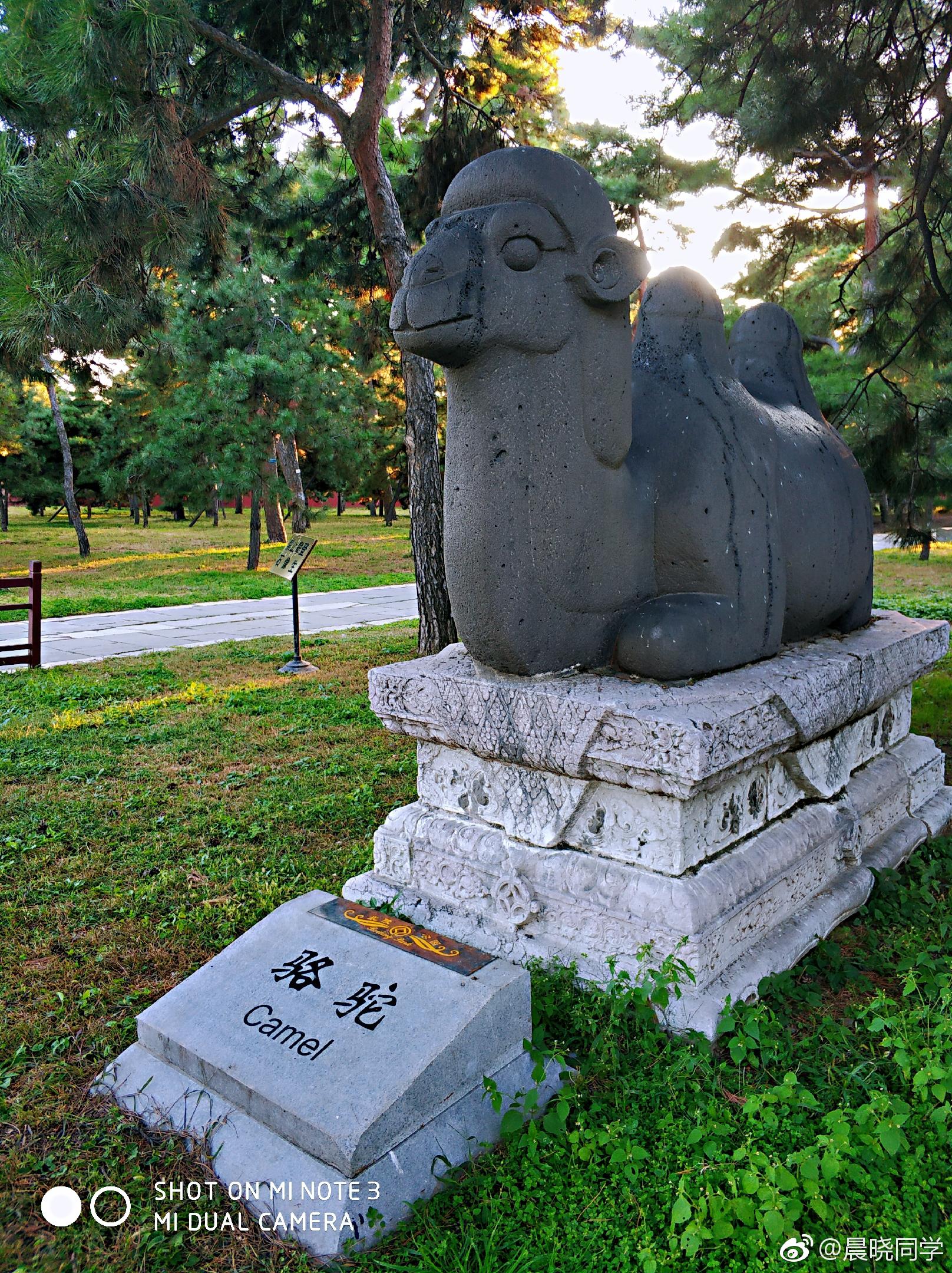 清昭陵神道两旁的石像生,看起来萌萌哒.