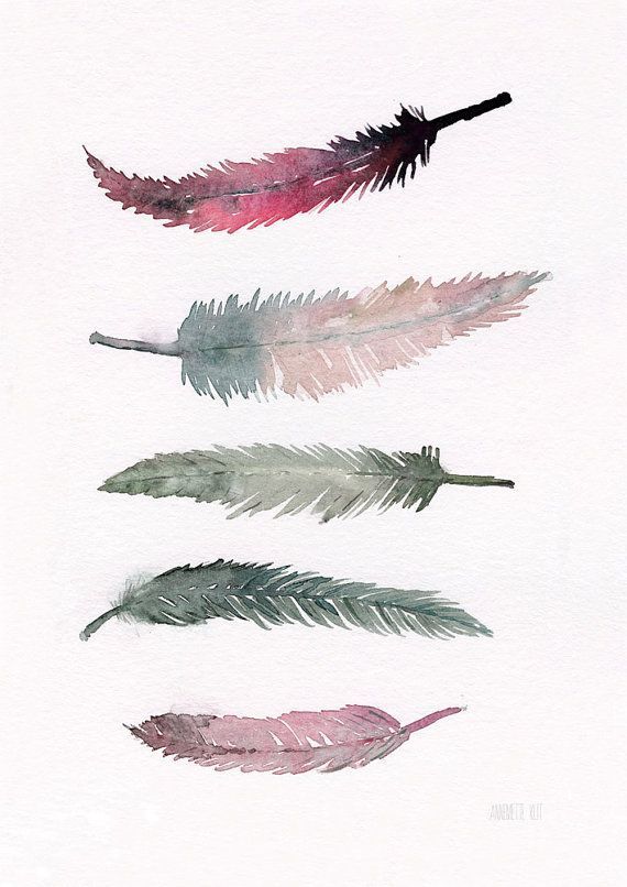 水彩羽毛参考 丹麦画家 annemette klit