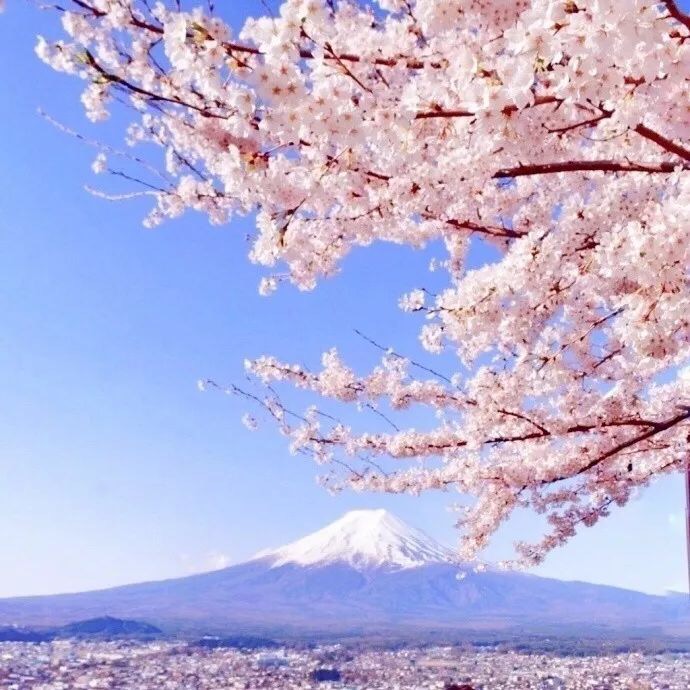 南阳陌陌怎么分辨是不是鸡