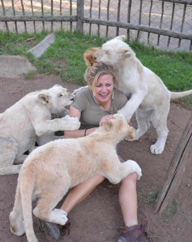 美女被小动物欺负的现场男生看见了想不想上前帮忙呢