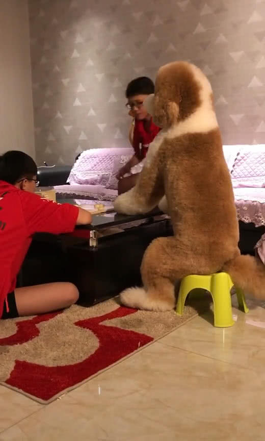 网友晒出朋友家的泰迪犬,网友看后表示怀疑:这狗长的忒大了点!