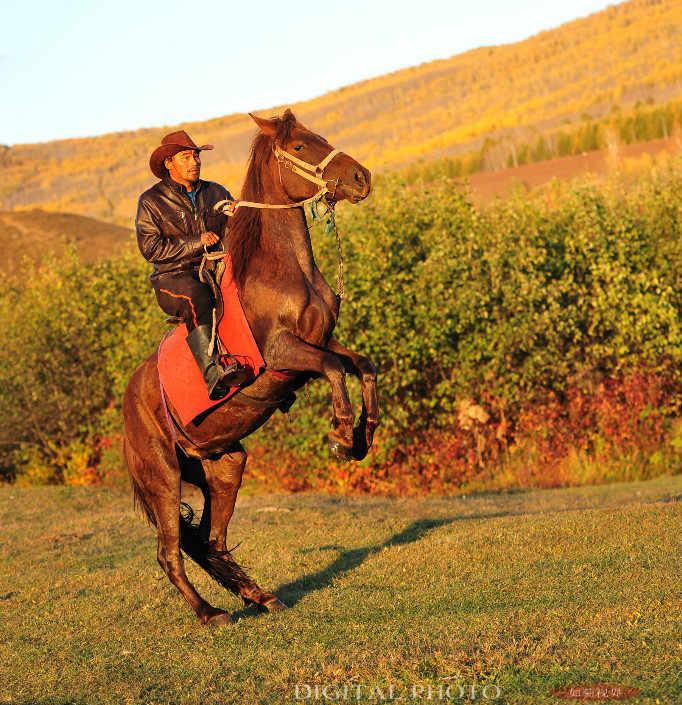 他们是中俄边境线上的马夫