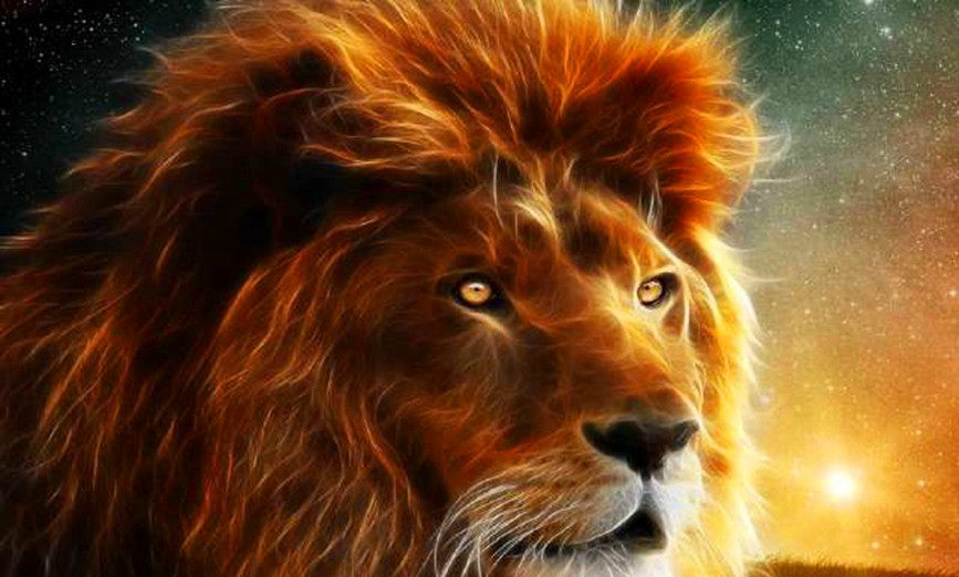 世界上最强的6大动物,狮子垫底,老虎第4,第一能单挑狮群__财经头条