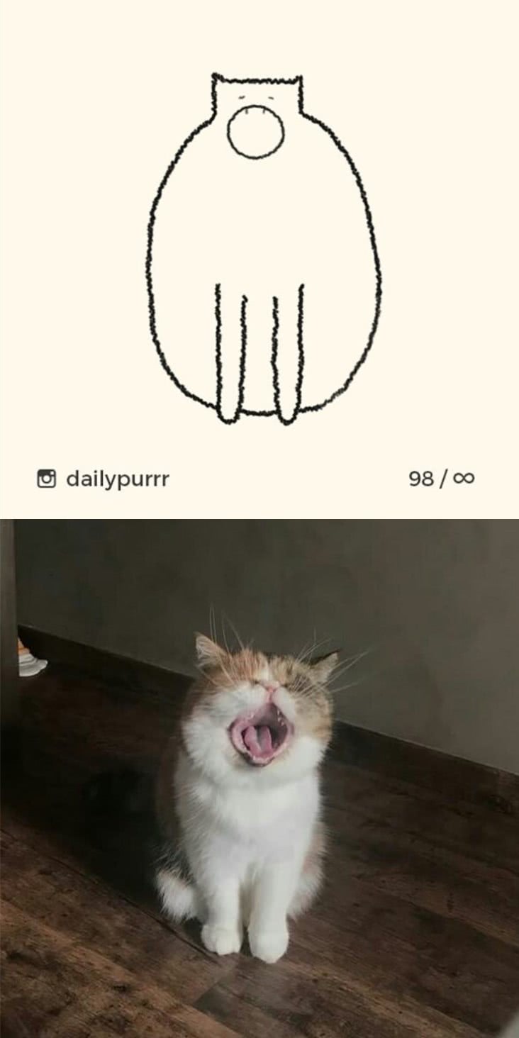 画猫届的灵魂画手看到第一张就笑喷了