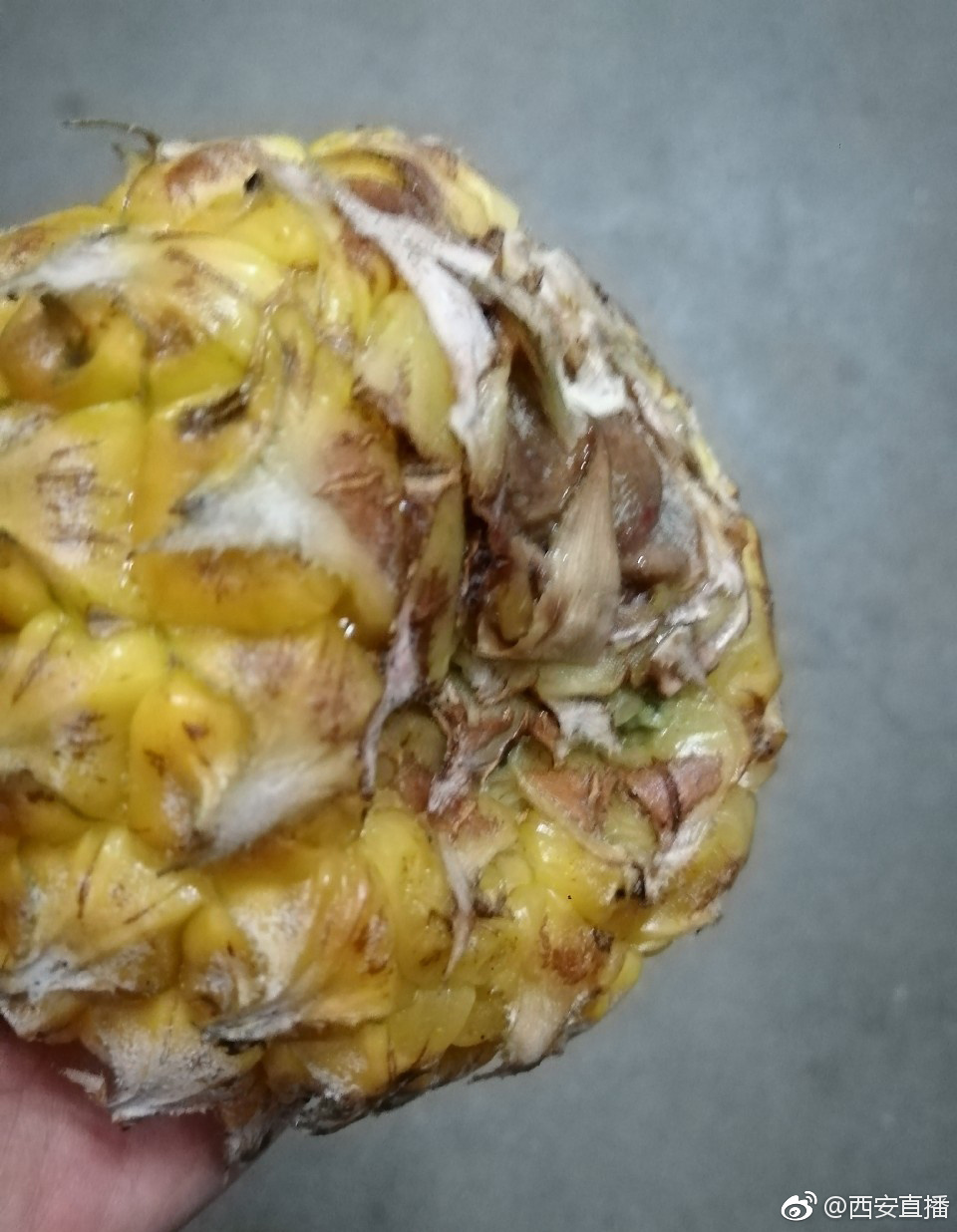 挑好的菠萝回家发现是坏的