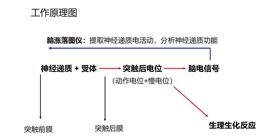 脑涨落图的准确性图片