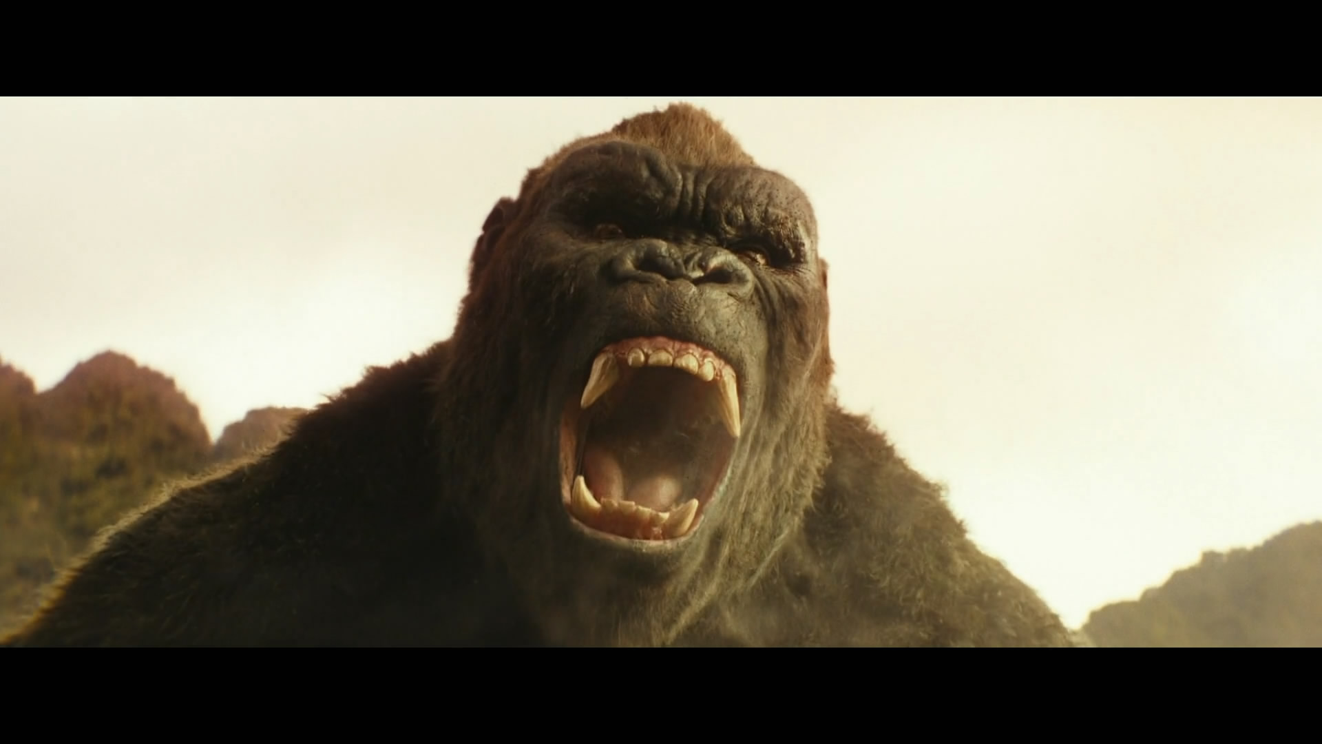 巨型猩猩霸气登场人类调皮捣蛋让金刚来收场视觉效果超棒