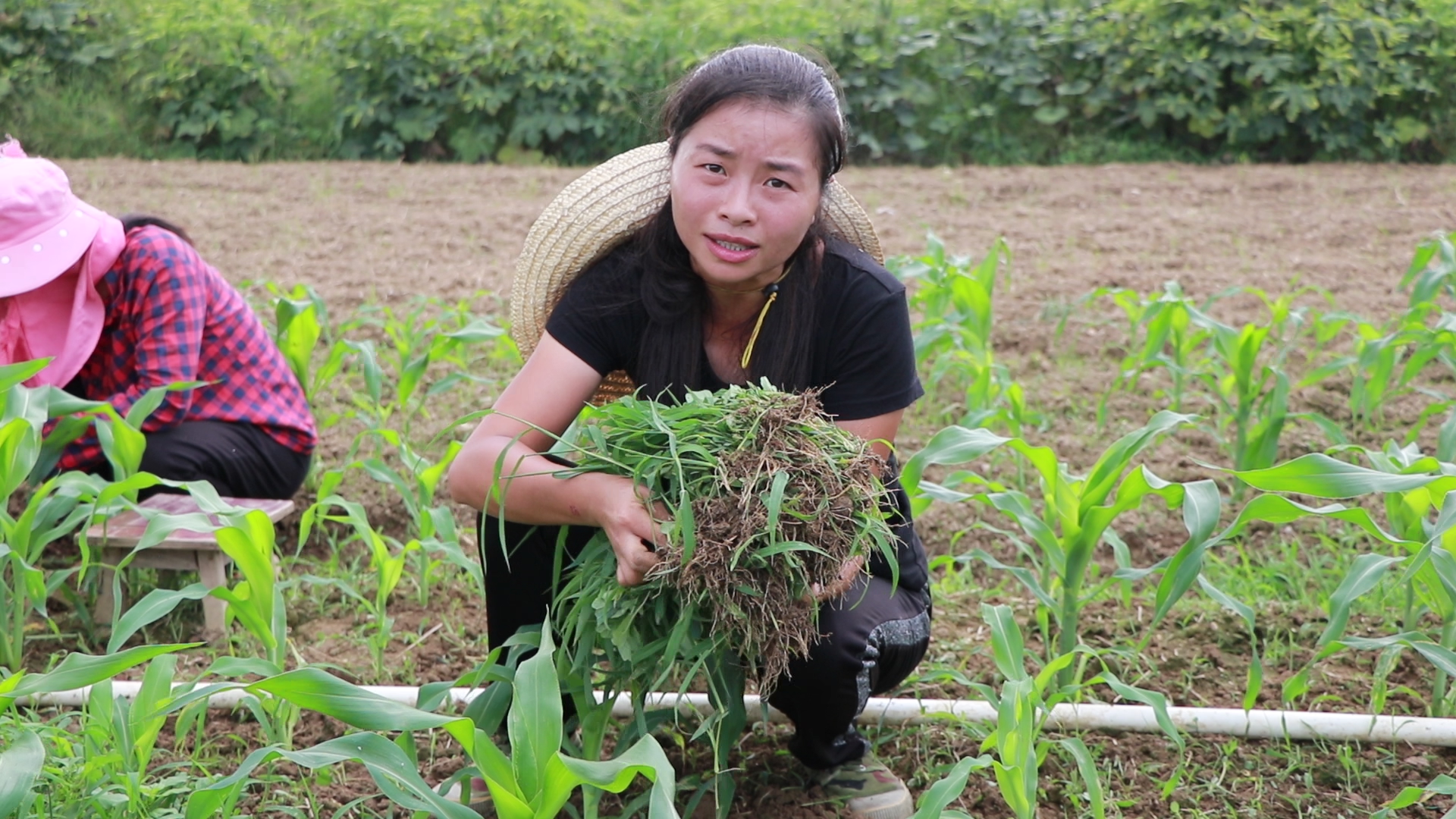 村姑自编神曲《种地干活一个人过》,唱出农村留守妇女辛酸