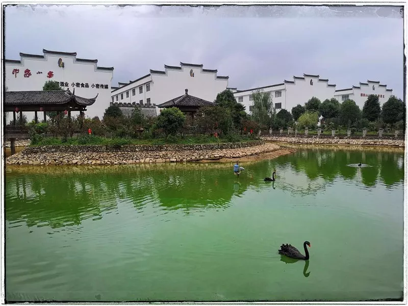 首届"丹桂之乡 诗画浦城"全国摄影大展启动