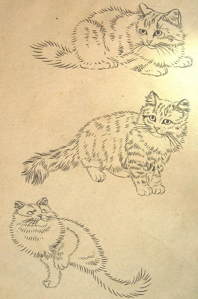 曹克家老先生白描画猫粉稿