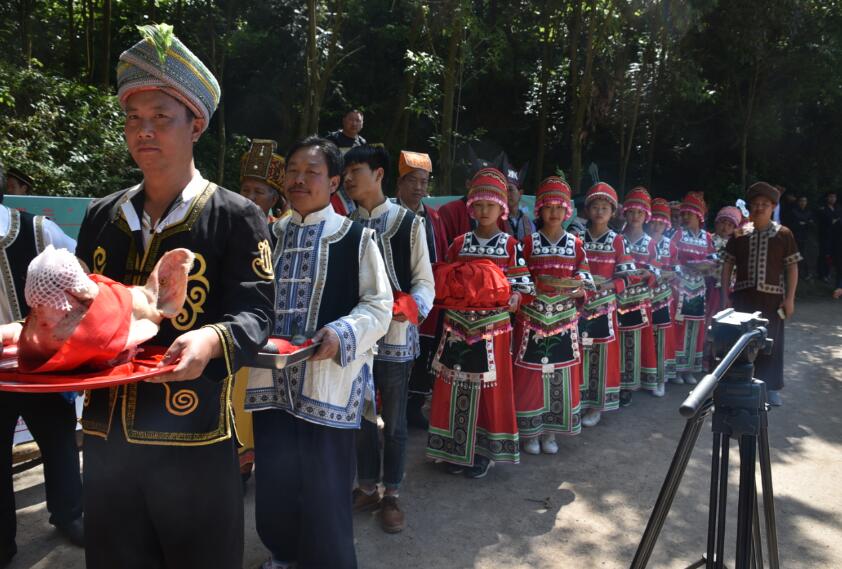 平正仡佬族乡“三月三祭树节”惊呆游客,千年神树浮出水面