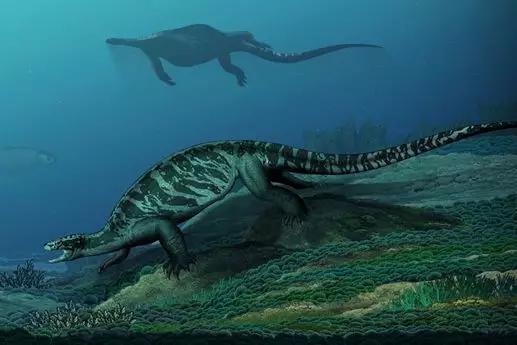 228亿年的乌龟祖先被发现比大象大酷似神兽玄武