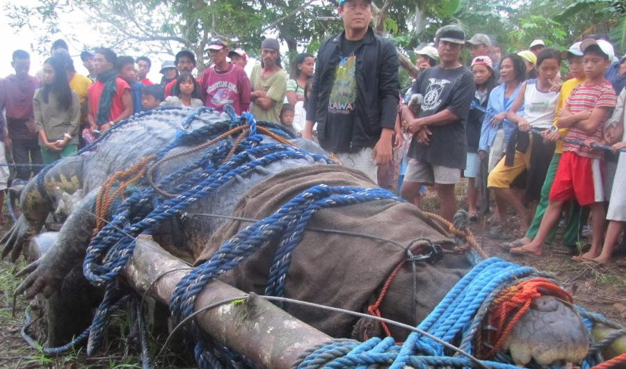 直击令人毛骨悚然的十大"怪兽",它们都真实存在于地球上