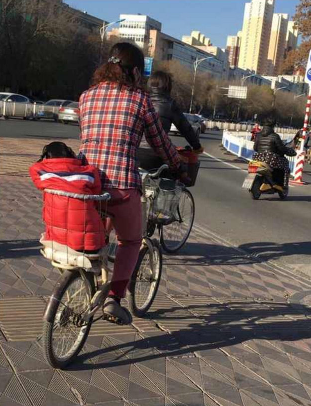 阿姨路上骑自行车,后座还带了一个娃,走近一看差点笑出声