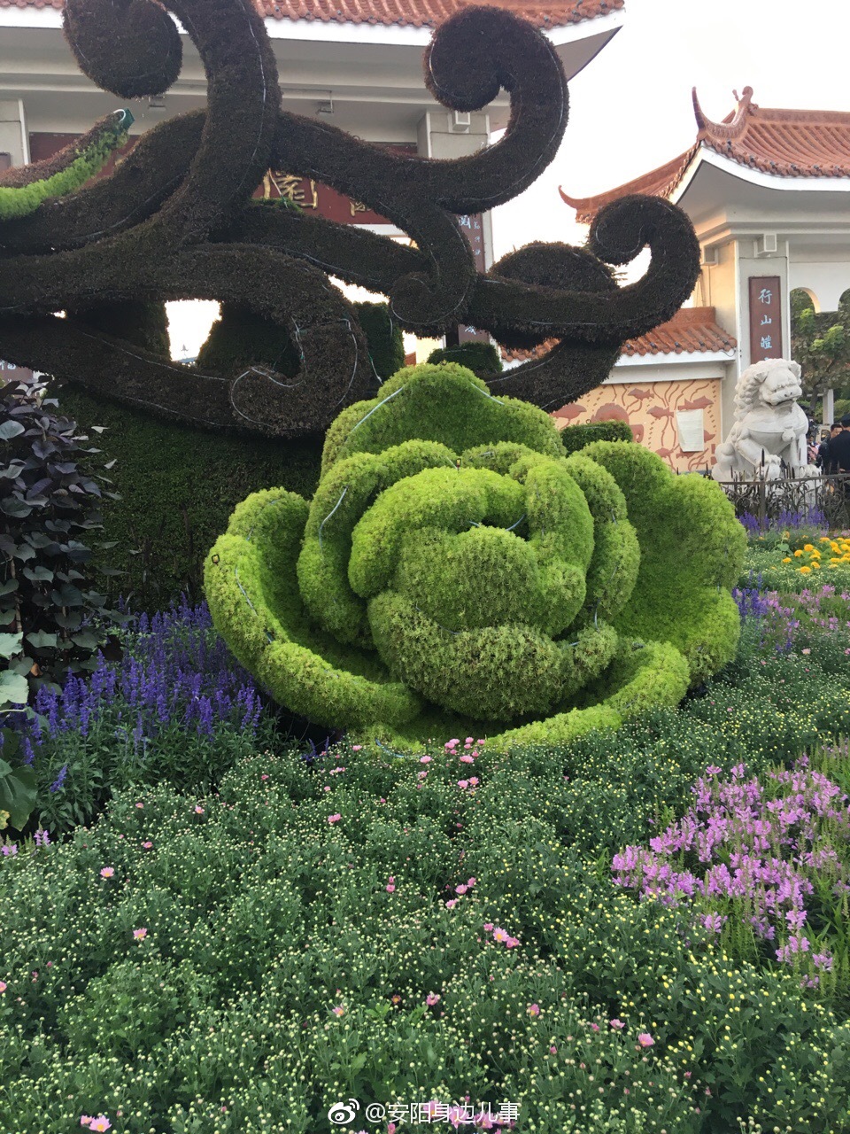 安阳市洹水公园门前的花坛展示