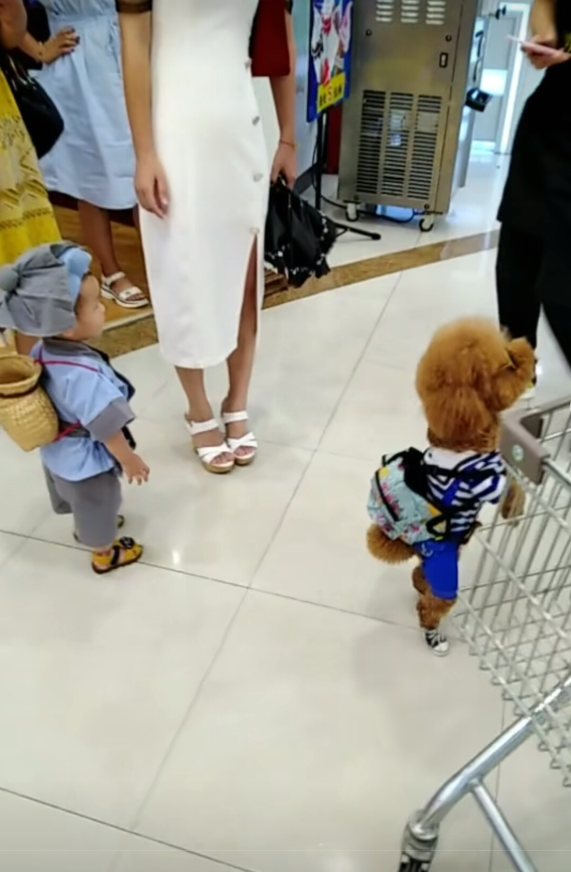 妈妈带儿子出门玩耍,拍了几张照片发给丈夫,丈夫乐的直不起腰