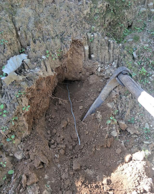 扒老鼠窝是件非常有意思的事,既能为民除害还有意外惊喜.