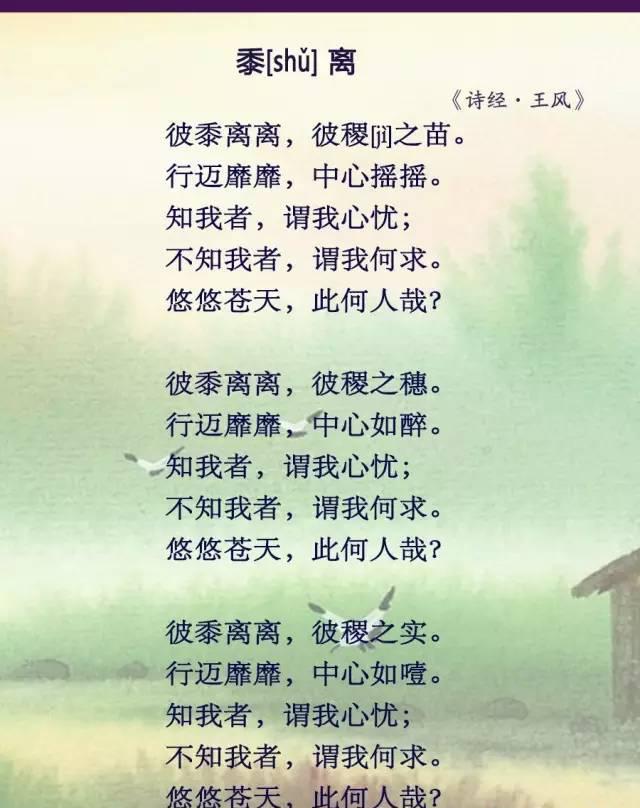 读诗经·黍离|诗经|黍子|苍天|谷子|景象_新浪新闻