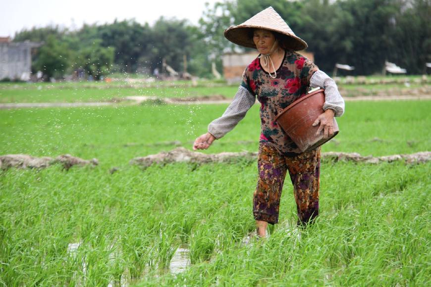 在农村,农资涨价,粮食跌价,农民是该继续种田还是进城打工好?