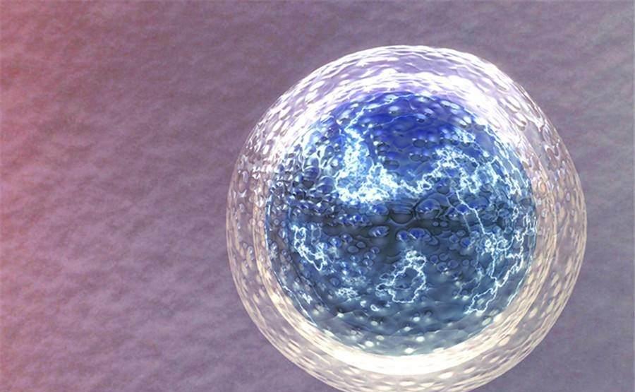 实力强!泰国冻卵合法吗"惊涛骇浪"-第1张图片-思度网