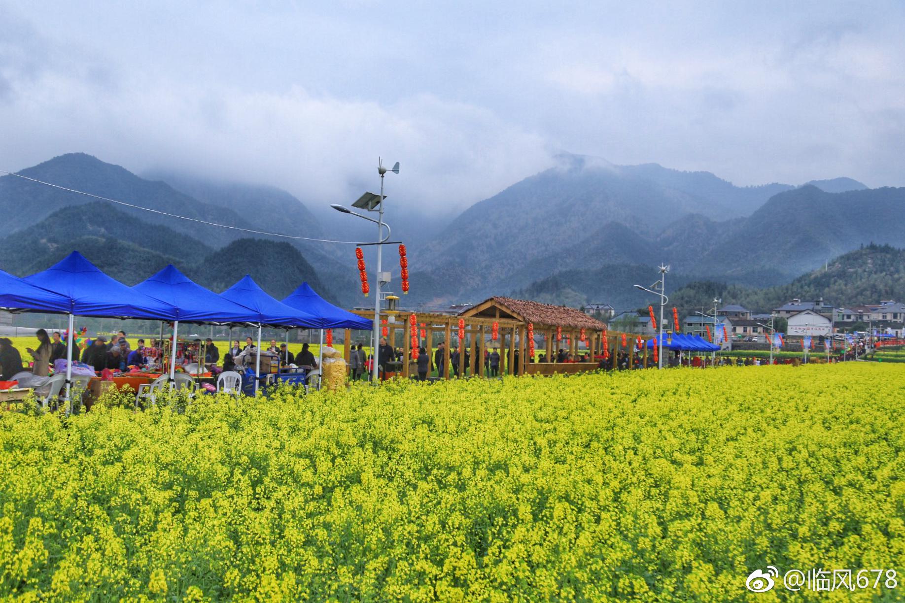 3月18日,位于浙西开化的杨林镇杨林村高畈春意盎然