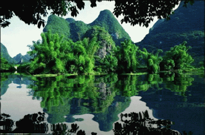 400_265gif 动态图 动图