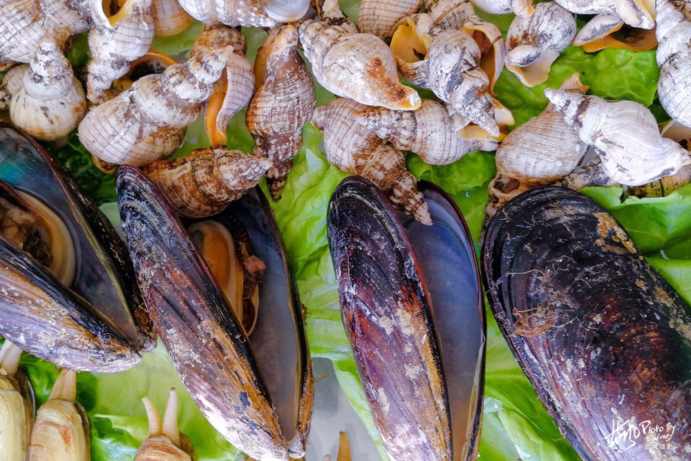 吃在象山,那山那海那海鲜,这一大桌海鲜,猜猜多少钱?