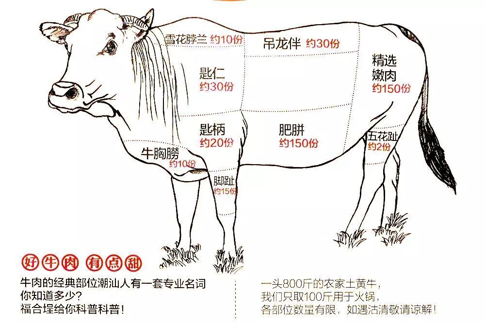 潮汕对牛肉有一套专业名词,吊龙伴、匙柄、匙仁、牛胸朥,有听没有懂