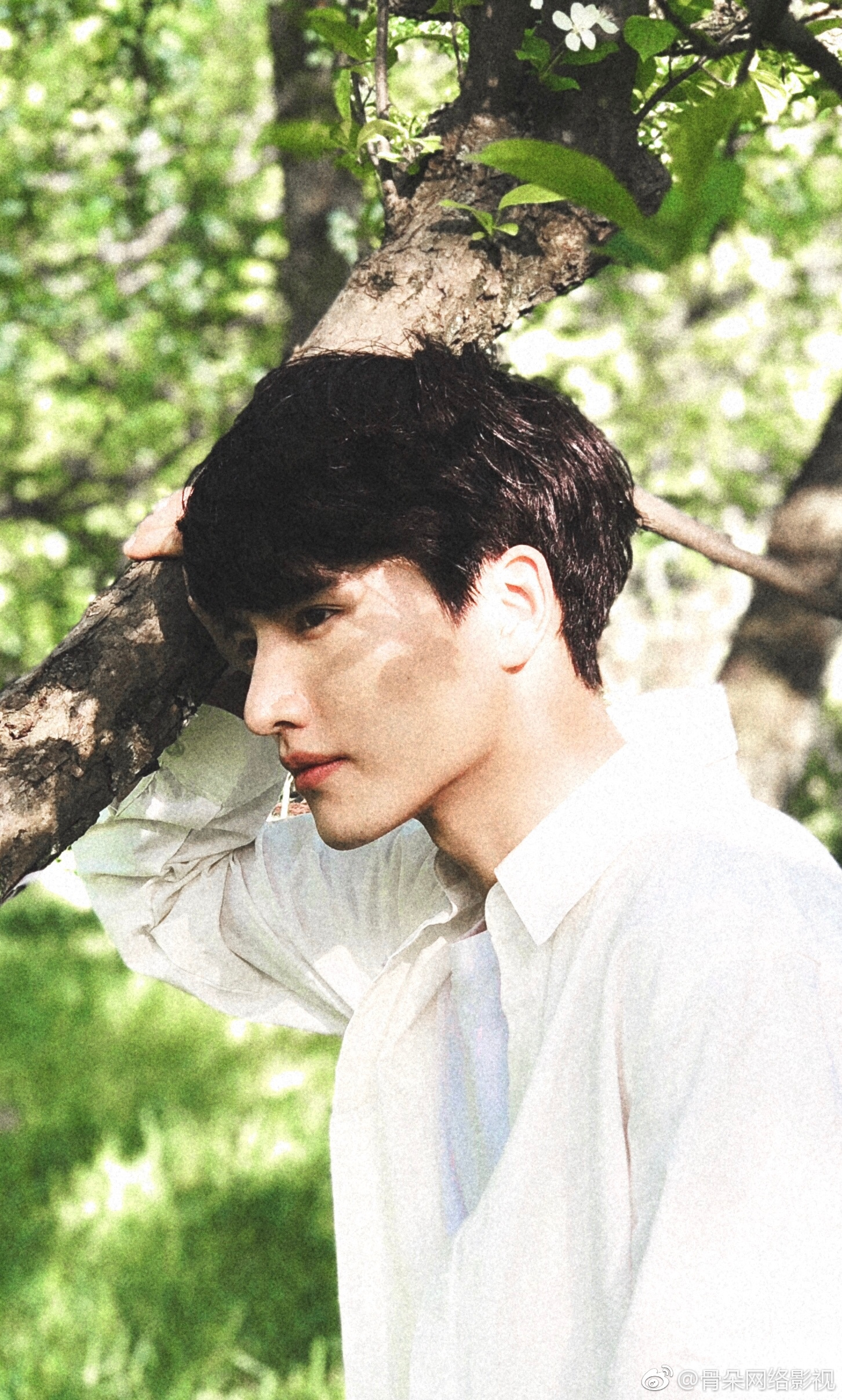 新剧动态|洪连城|黄子轩|肖茵_新浪新闻