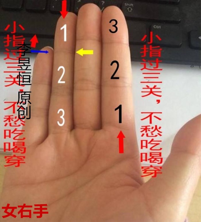 手相:小指秀长有四节,能力强财运广,子女贤惠晚运丰!