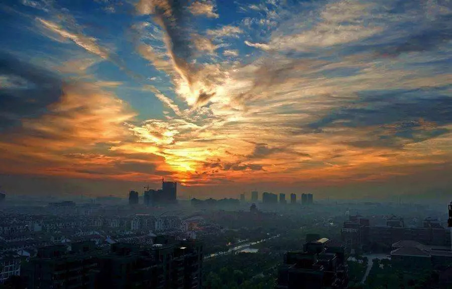 嘉善县蒋村村:以乡村振兴引领城乡融合发展