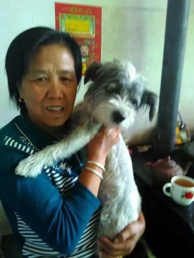 今天,为了一只狗,我和婆婆哭成泪人,老公也掉下了鳄鱼的眼泪