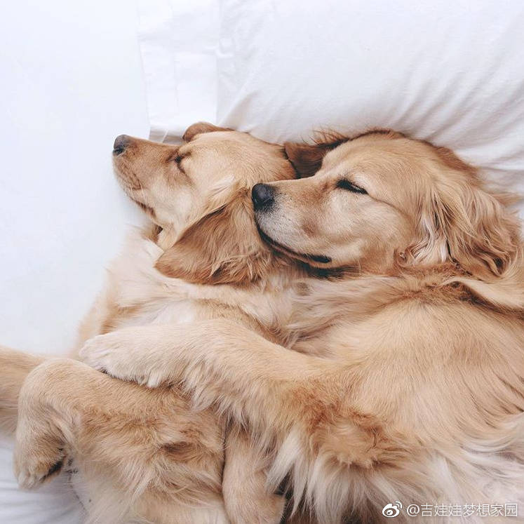 好朋友就是要一起睡到地老天荒