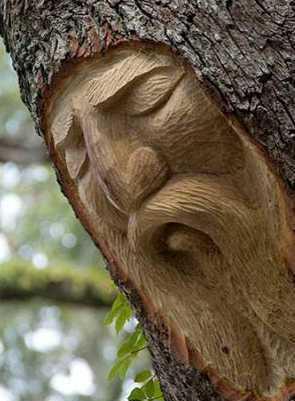 美国一男子在树上雕刻出形态各异的人脸面孔画风诡异