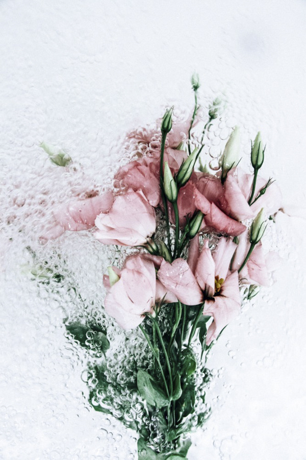 水中花 | 来自于lisa sorgini_新浪看点