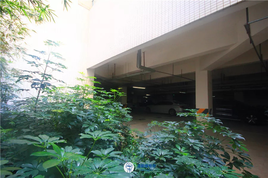 会呼吸的阳光地下室 ,你在德阳见过吗?