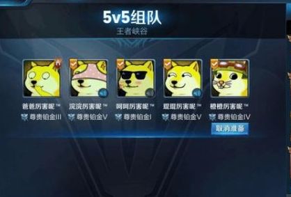 王者荣耀:你见过哪些奇葩搞笑名字?网友脑洞大开,笑得肚子疼!