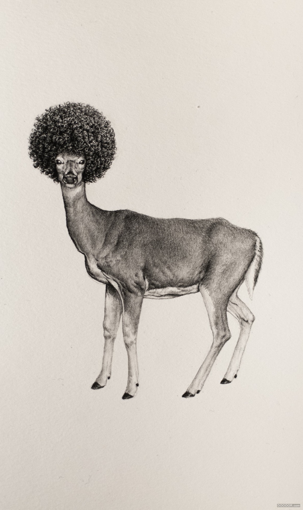 脑洞真大奇葩素描四不像动物