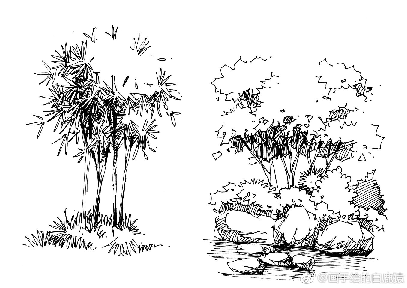超强干货,景观手绘单体分享第二波.欢迎喜欢的朋友多多转发