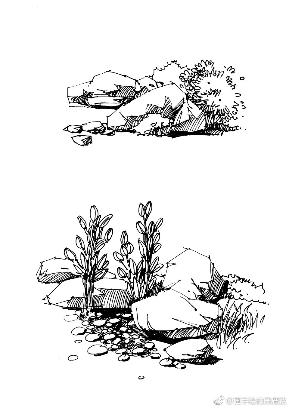 超强干货,景观手绘单体分享第二波.欢迎喜欢的朋友多多转发