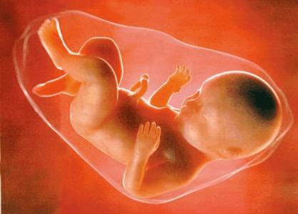 你以为宝宝在肚里过着"冷宫生活", 没想到人家在肚里逍遥自在