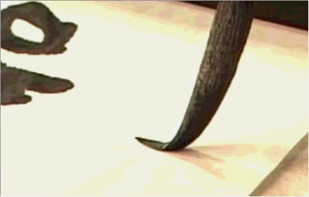 439_281gif 动态图 动图