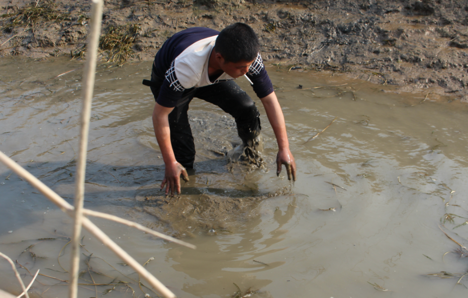 农村小伙在干涸的小河里捕鱼,没想到却逮到一个大家伙