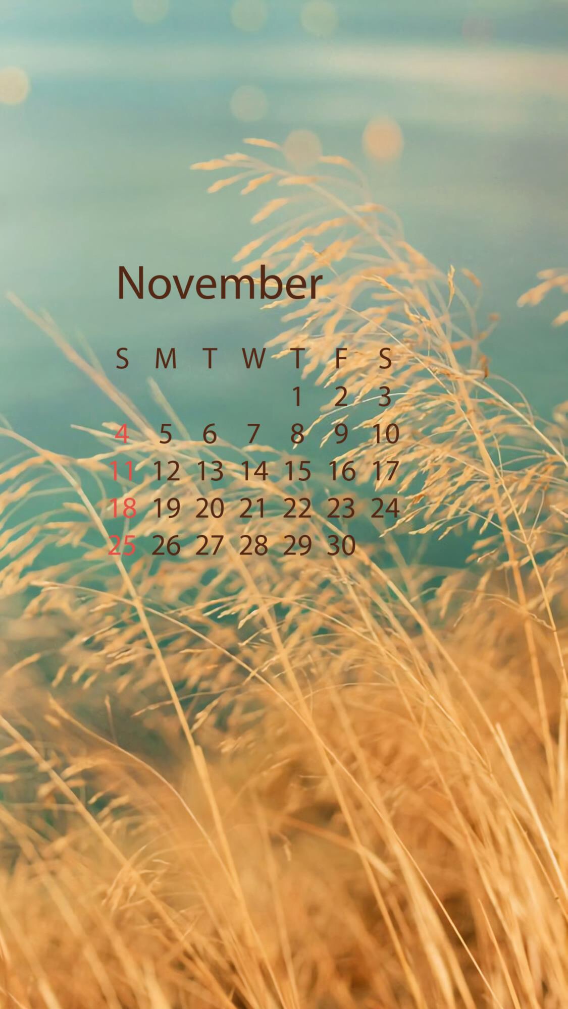 日历壁纸一组,喜欢点赞79