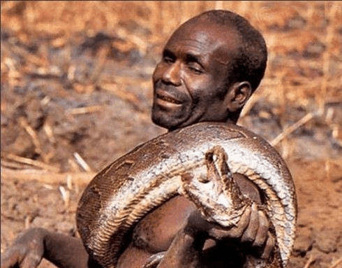 非洲猎人冒死钻洞徒手捕捉蟒蛇