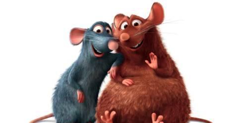 大小米名字的灵感,来源自动画电影《美食总动员》的两只老鼠兄弟.