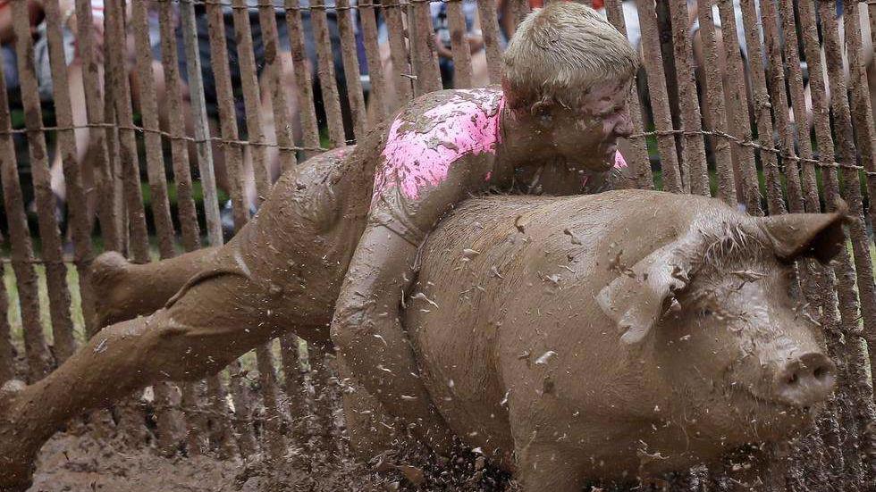 美国人被气哭了:肉和骨头都被你们吃了,猪屎却留给我们!